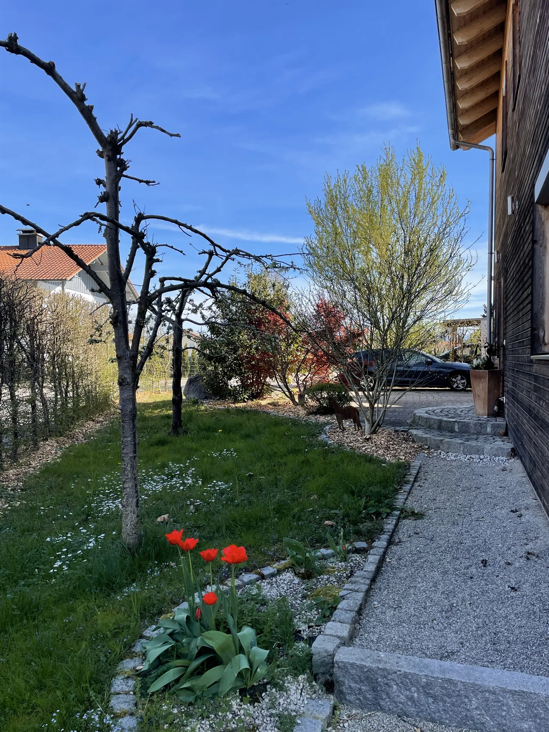 Rasenfläche und Weg an der Südseite des Grundstücks