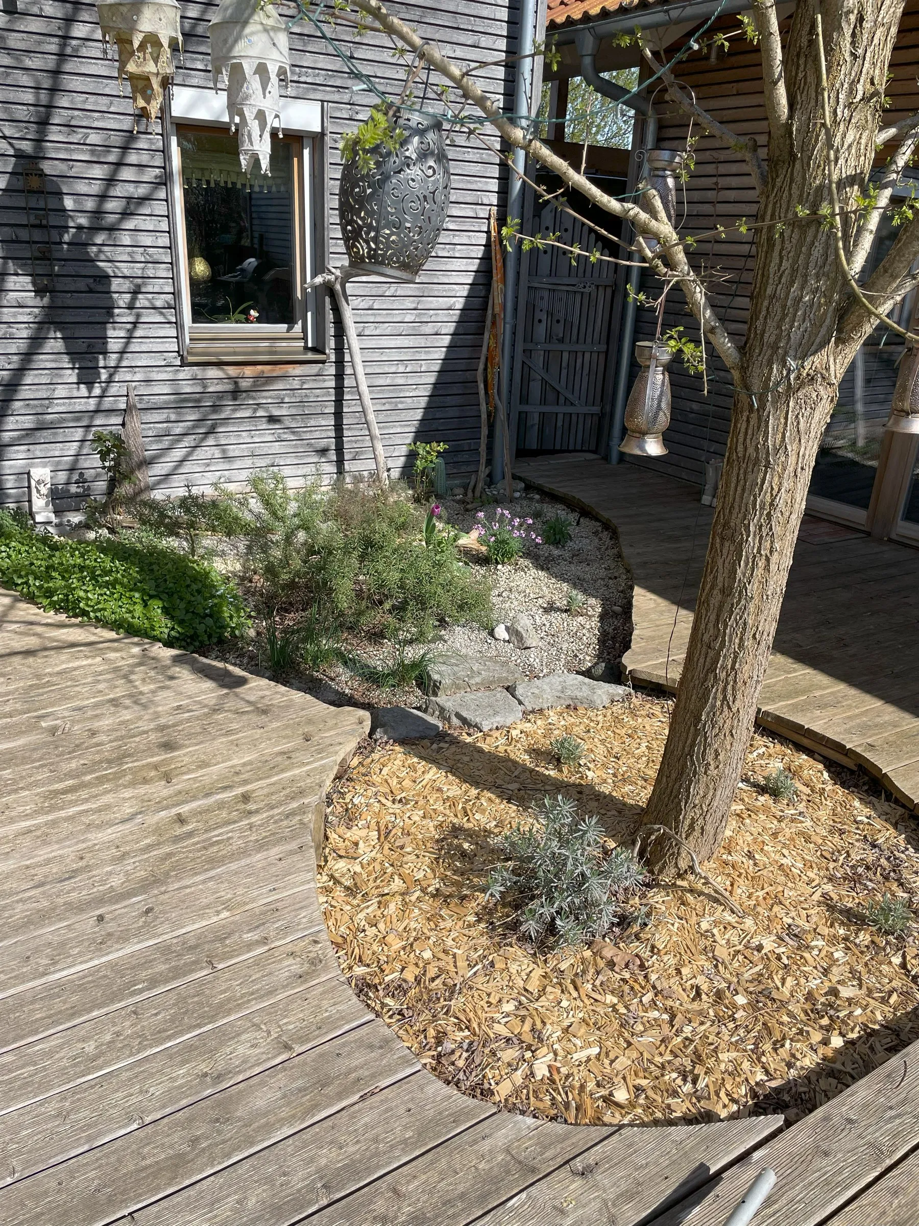 Kräutergarten neben der Terrasse